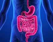 Fouche M, Van Blerk GN, Wolfaardt GM and Khan W